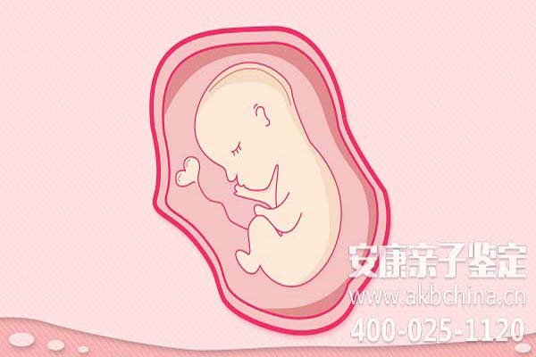 泉州胎儿亲子鉴定5周，DNA鉴定无创胎儿过程 