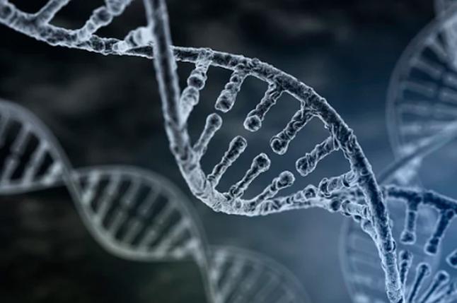 泉州哪里能做DNA亲子鉴定？DNA亲子鉴定机构查询 